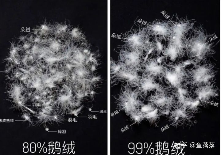 絨子含量越多越保暖.jpg