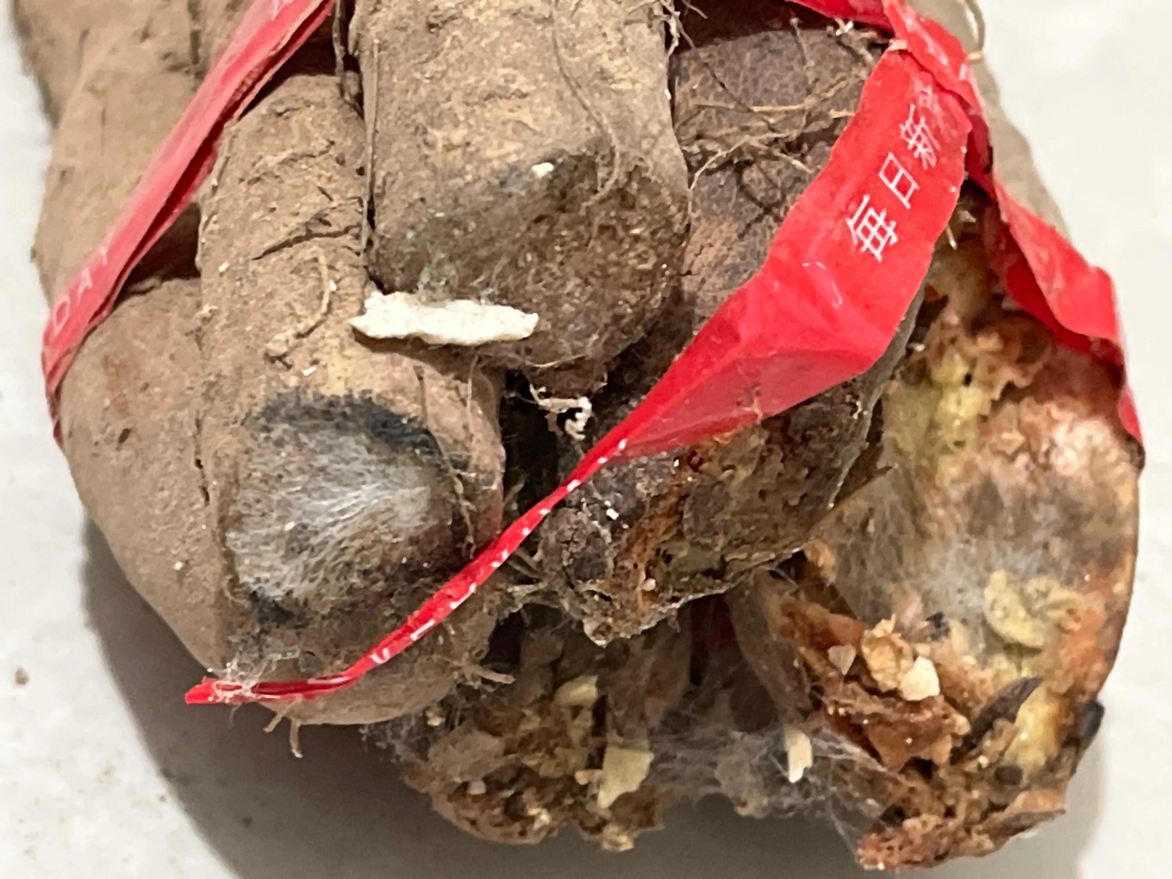 最近連續(xù)幾年在淘寶購(gòu)買(mǎi)山藥，并且都在同一家購(gòu)買(mǎi).jpg